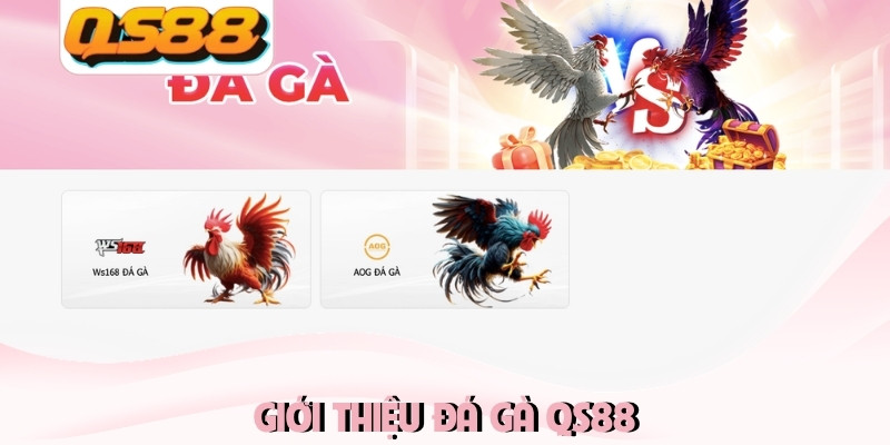 Giới thiệu đá gà QS88