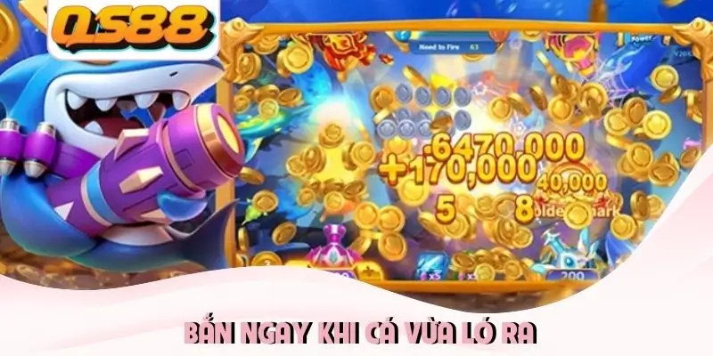 Bắn ngay khi cá vừa ló ra Bắn ngay khi cá vừa ló ra